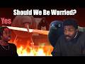 Crows Gave Earth S Biggest City The Middle Finger The Chill Zone Reacts