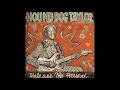 Hound Dog Taylor - Release The Hound