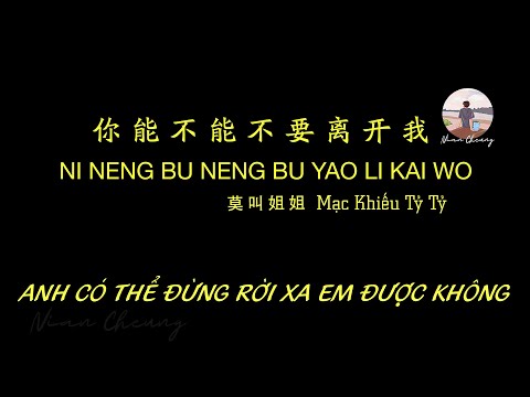 Anh Có Thể Đừng Rời Xa Em Được Không • Mạc Khiếu Tỷ Tỷ 你能不能不要离开我 • 莫叫姐姐【动态歌词/PinyinLyrics/Vietsub】