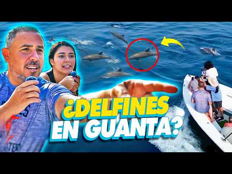Guía a MOCHIMA (Desde Guanta): Ruta de los delfines y qué comer (Precios 2026) 🌴🌊 Lo que nos une