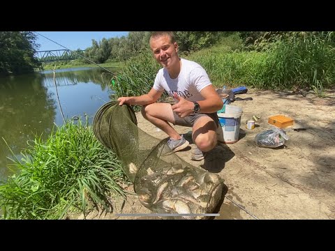 Babuške sa kanala. 200 komada za 2h! Novi tereni u Hrvatskoj…