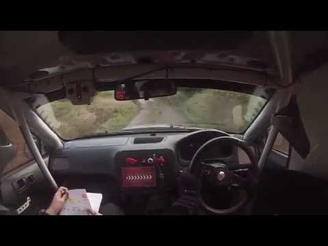 Cork 20 Rally 2016 Diarmuid Hallahan and Padraig Walsh SS9 Badgers Hill