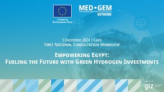 Empowering Egypt: Fueling the Future with Green Hydrogen Investments