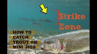 Daiwa proteus al mini-river and lake trout