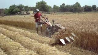 preview picture of video 'wheat harvesting 004'