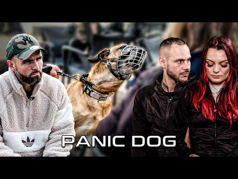 "On va me demander de l'euthanasier cette fois..." - Malinois Agressif - Panic Dog Ep19