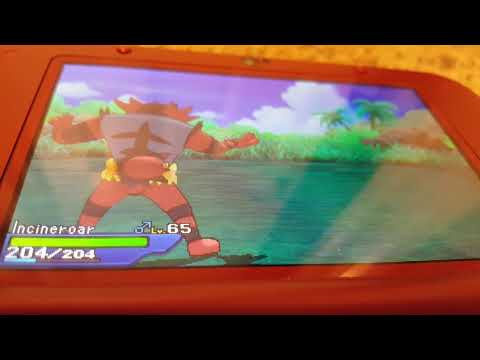 Random  Ultra Beast Encounter