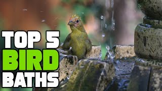 Best Bird Bath Reviews 2026 | Best Budget Bird Baths (Buying