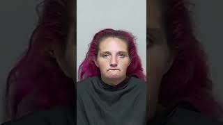 palatka Florida jail log