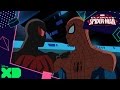 Ultimate Spider Man Vs The Sinister Six The New Sinister Six Official Disney XD UK