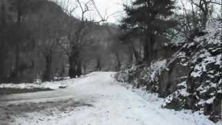 preview picture of video 'rally monte carlo st julien du gua 2013'