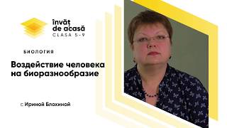 Воздействие человека на биоразнообразие