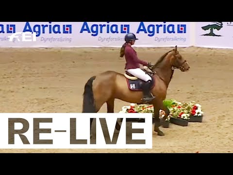 RE-LIVE | Competition 2 - 1.25m - FEI Jumping Ponies Trophy 2023