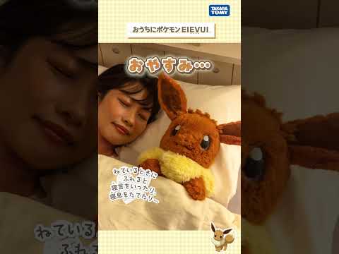 【おうちにポケモン】 イーブイをなでたり抱きしめたりすると、声でリアクション！【EIEVUI】