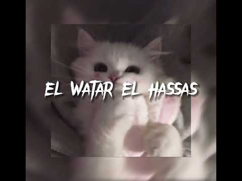 El Watar El Hassas - Sherine (arab song) - speed up | jxvnav