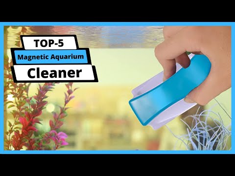 ✅ Best Magnetic Aquarium Cleaner: Magnetic Aquarium Cleaner (Buyer's Guide)