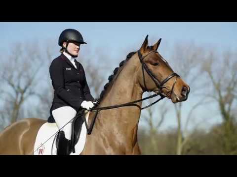 09 Samou Wallach v . San Amour I - Ferragamo