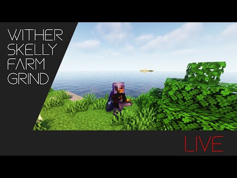 Wither Skeleton farm Grind | Kayzm