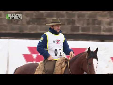 Campo Grande/MS - Andaduras, Figura, VSP-Esbarradas (Fêmeas) - Classificatória ao Freio de Ouro 2019