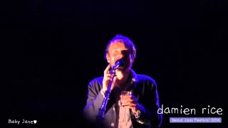 Damien Rice - [The Blower&#39;s Daughter] @ Seoul Jazz Festival 2014 By Baby Jane♥