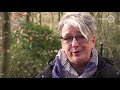 Gelderland Helpt: Helpt u mee om vermiste honden weer te herenigen met hun baasje?