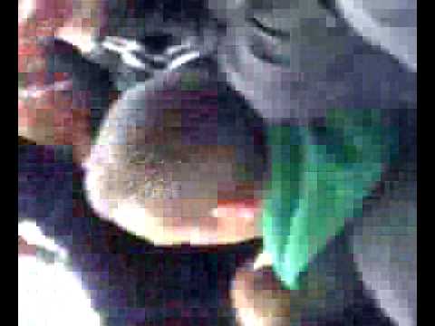 Hibs v Hearts 01/05/10 Penalty Kick