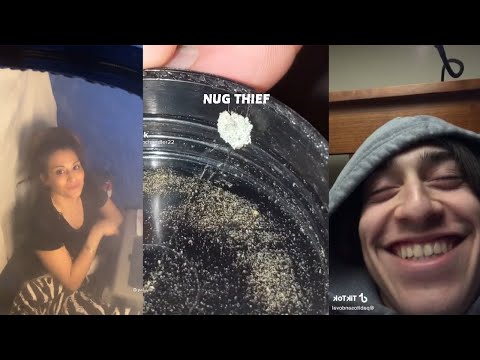 tiktoks that radiate weed energy [#4] - Fatally Stoned