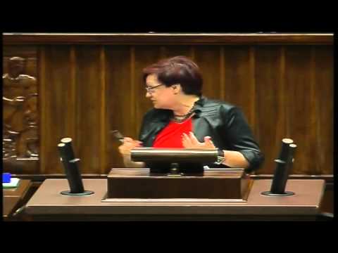 Mirosława Nykiel pyta o przyszłość branży energochłonnej