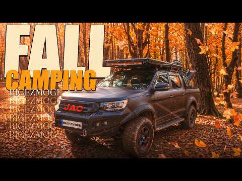 Forest Camping | Peaceful Nature Sounds, Campfire & Relaxing Ambience (No Talking)🍂