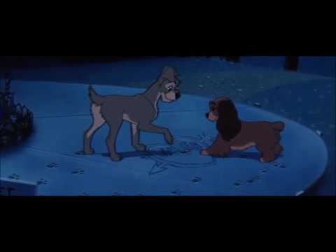 Lady and the Tramp - Bella Notte (Polish 1962)