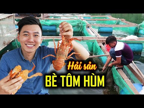 ĂN HẢI SẢN TRÊN BÈ TÔM HÙM |Ký sự du lịch Phú Yên #3