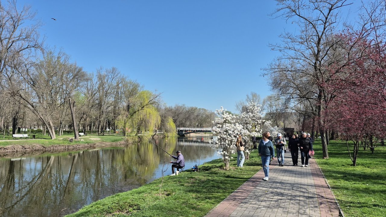 Запорожье ЦВЕТУЩИЕ САДЫ В ВОЕННОМ ГОРОДЕ!!! 05.04.2026