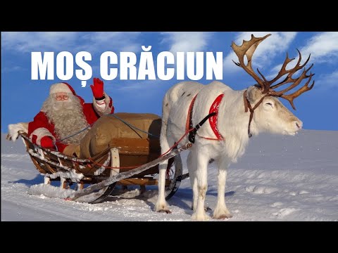 MOS CRACIUN CU PLETE DALBE 🎅 COLINDE 2023 ⭐
