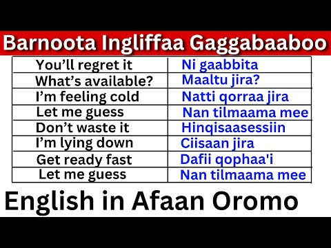 Barnoota Ingliffaa Gaggabaaboo Kutaa 10 | Short English Expressions in Afaan Oromo Part 10
