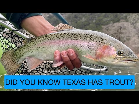 GRTU Troutfest 2025!