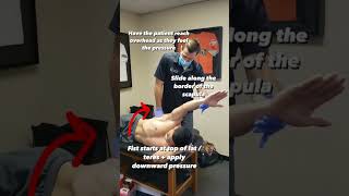Lats / Teres Major Manual Therapy | Overhead Mobility | Soft Tissue Mobility