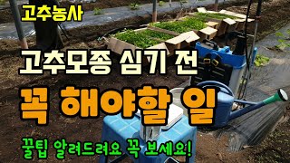 고추농사 고추모종 심기전 꼭해야할 고추약 뿌리는 이유 고추모종이 어릴때부터 병해충관리를 철저히 해야하고 모종…