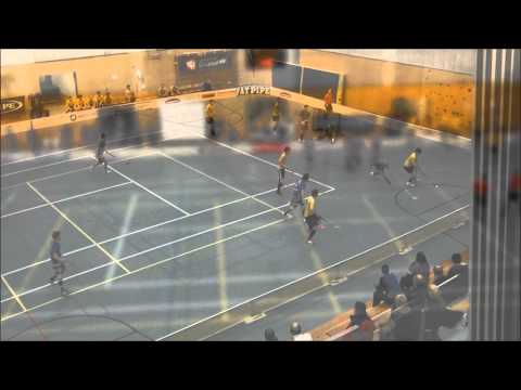 Salibandy: LeBa'96 - SB Welhot Nilsiä | 13.01.2012 | Maalikooste