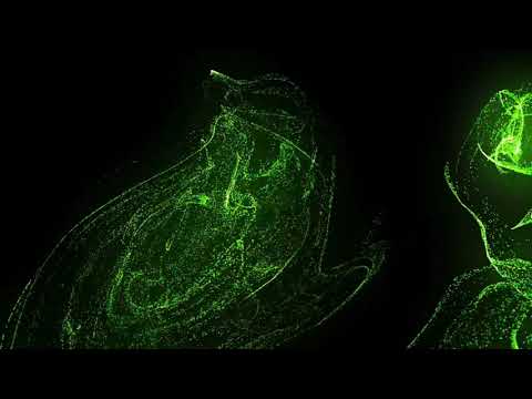 Popurri de Júbilo Agricio Díaz con Letras