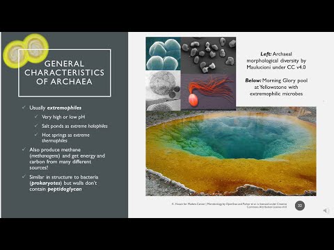 BIOL31: Welcome to Microbiology and The Invisible World