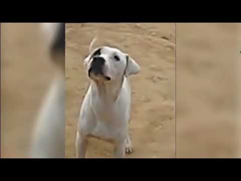 moviemakeronline com 181211 1318d654 87ee 4ef0 93eb c4e73b2cb25d