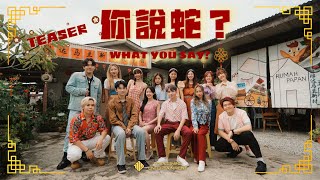 Download lagu 【预告】2025蛇年新年歌 1119《你説蛇?What You Say?》Teaser mp3 Download lagu 【预告】2025蛇年新年歌 1119《你説蛇?What You Say?》Teaser mp3