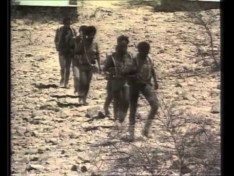 Dj Dee Nasty - L'Œil Du Cyclone