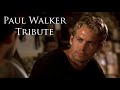 Paul Walker Tribute Live Fast Die Young