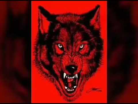 WCW nWo Wolfpack theme (RARE) with custom titantron