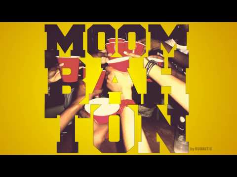 Moombahton Pre - Party Megamix