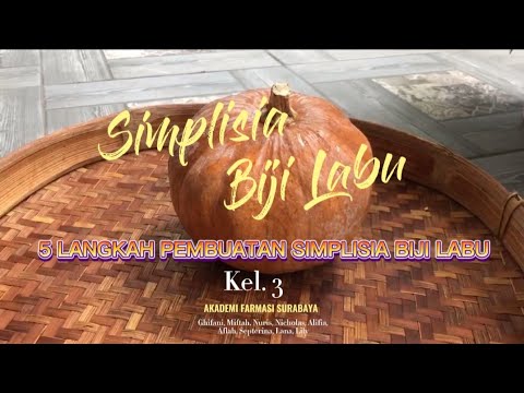, title : 'Pembuatan Simplisia " Biji Labu " Kelompok 3'