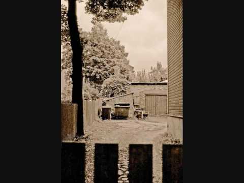 sir matu ja dissimilar-kuidas k6ik algas