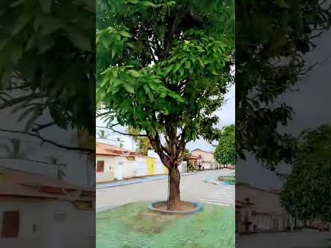 minha Porto Rico do Maranhão