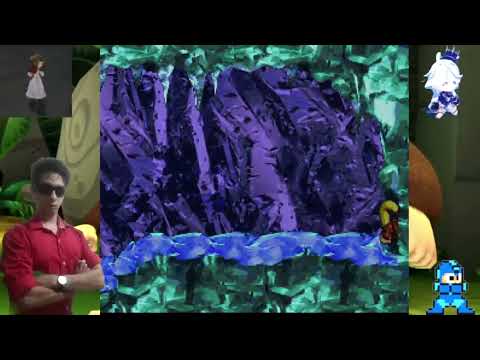 All 40 DK Coins! - Donkey Kong Country 2